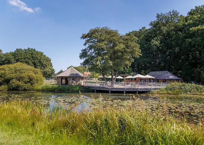 Chalets De Roos
