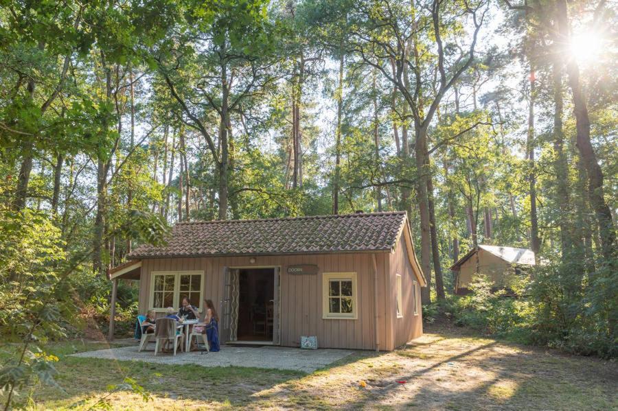 De Roos Campsite *